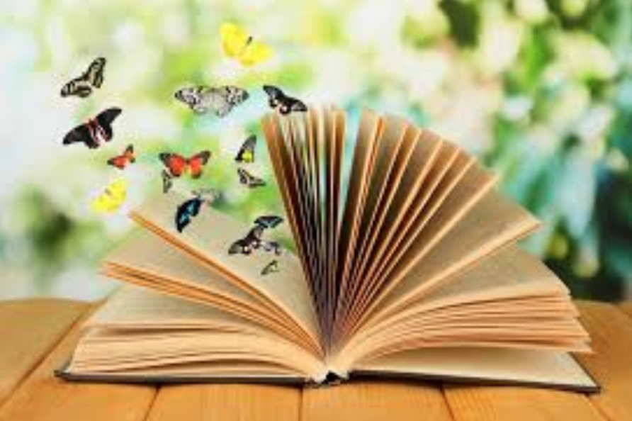 Book Butterfly